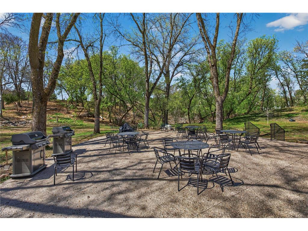 6085 Lincoln Drive #225 Edina MN 55436 7060295 image35