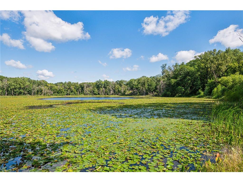 6085 Rowland Road #207 Minnetonka MN 55343 7102756 image30