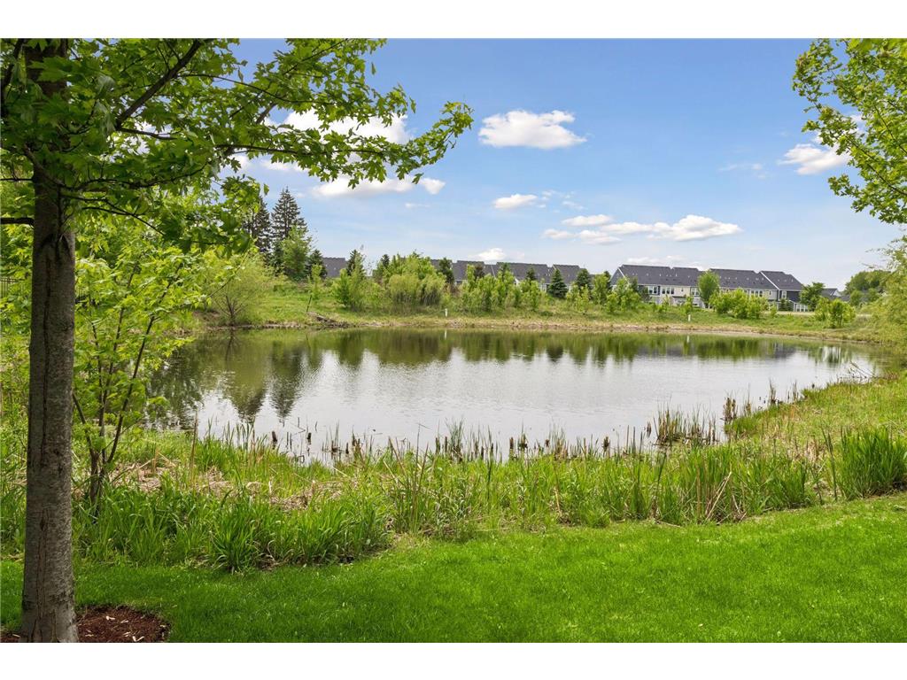 6085 Urbandale Lane N Plymouth MN 55446 7081047 image56