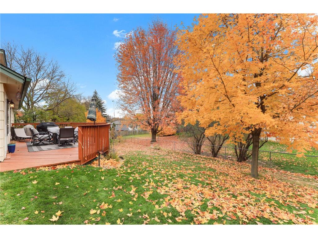 609 Chicago Drive Burnsville MN 55306 6815352 image9