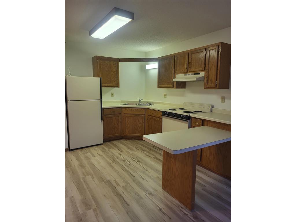 609 Main Street S #3 Renville MN 56284 7045444 image1