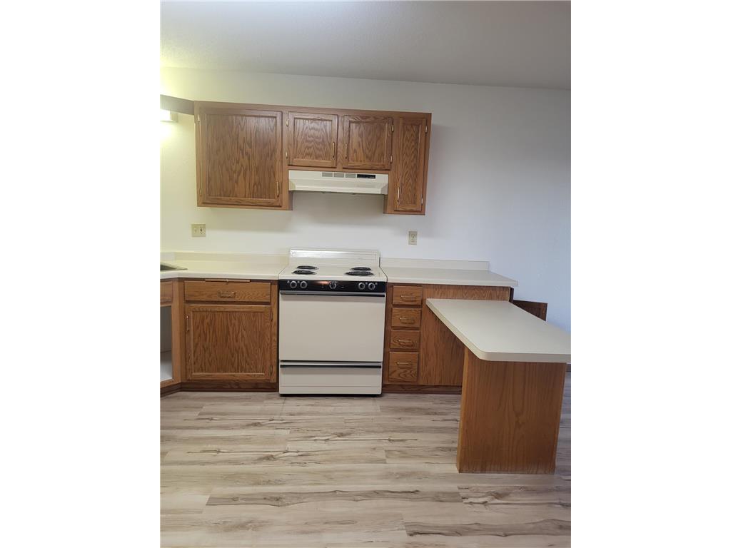 609 Main Street S #6 Renville MN 56284 7045461 image2