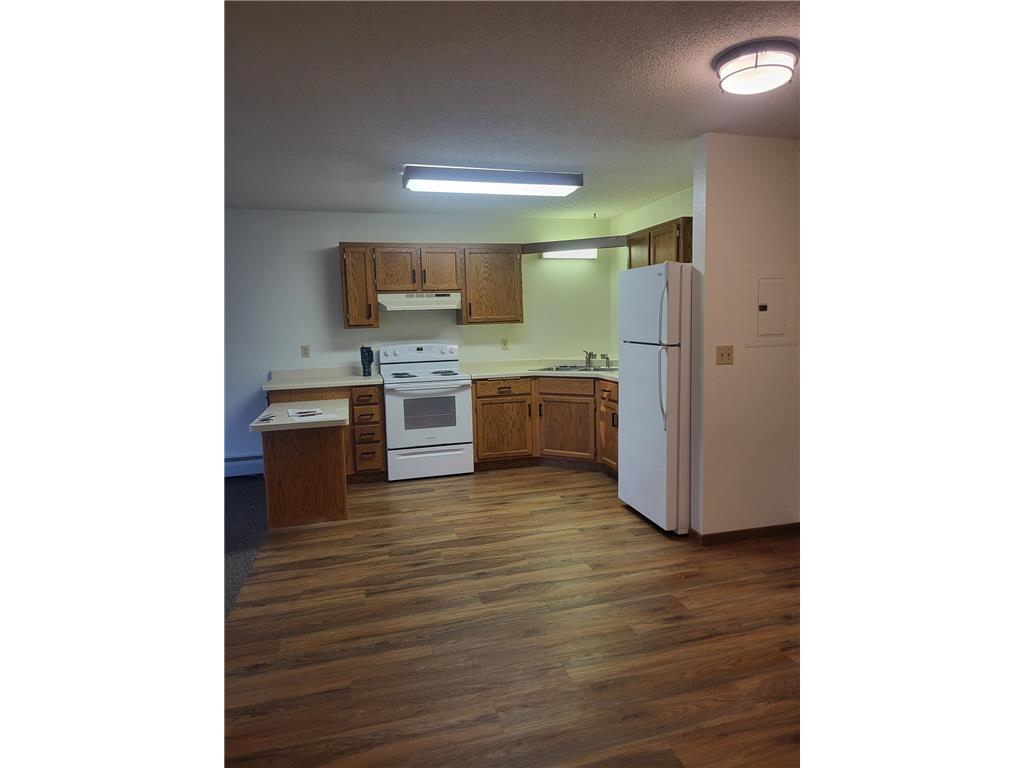 609 Main Street S #7 Renville MN 56284 7045464 image2