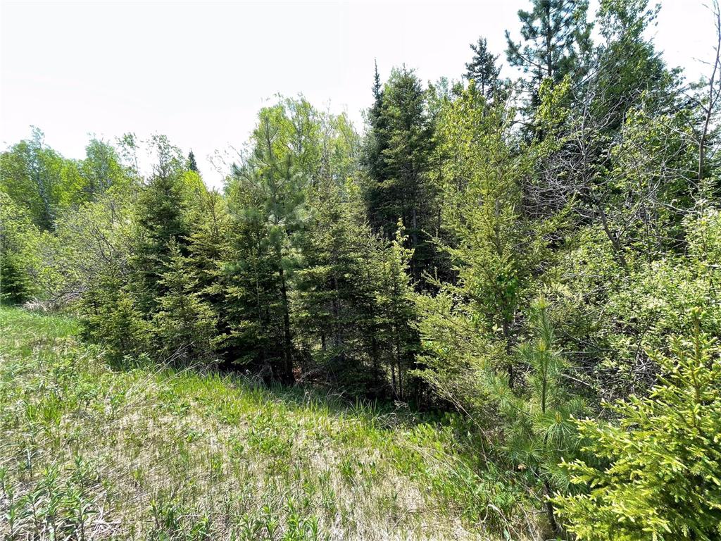  Silver Bay MN 55614 - Baptism River 6741187 image43