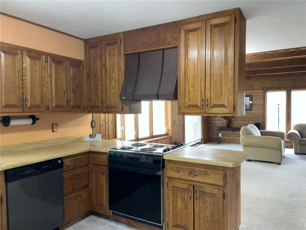  Silver Bay MN 55614 - Baptism River 6741187 image8