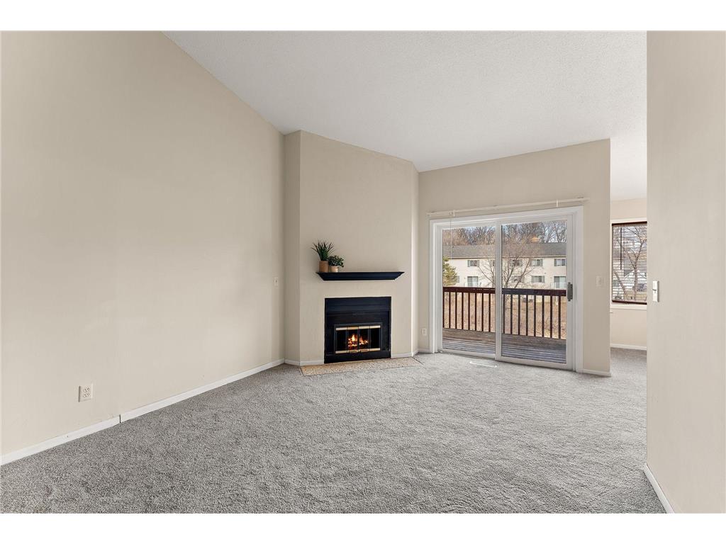6097 Courtly Alcove #F Woodbury MN 55125 - Carver 7059898 image1