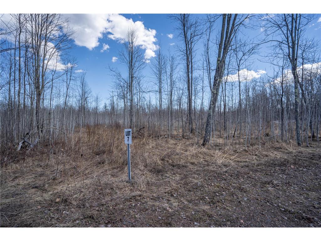 60xx Rycor Lane Lot 7 Saginaw MN 55811 7058403 image1