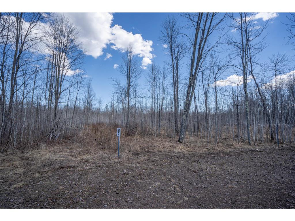 60xx Rycor Lane Lot 7 Saginaw MN 55811 7058403 image11