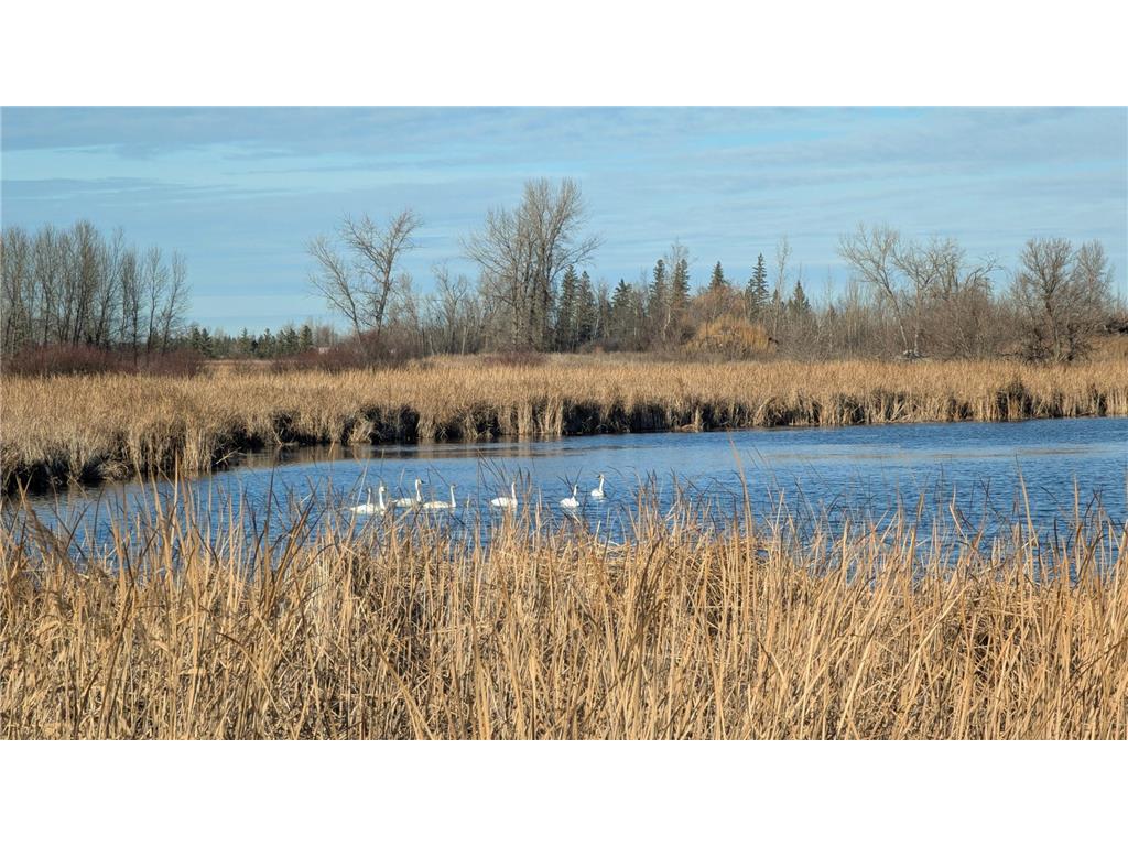 610 Cleveland Avenue SW Mcintosh MN 56556 6816639 image59