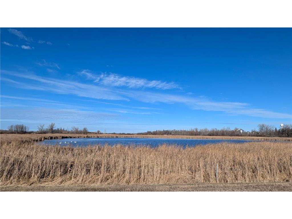 610 Cleveland Avenue SW Mcintosh MN 56556 6816639 image60