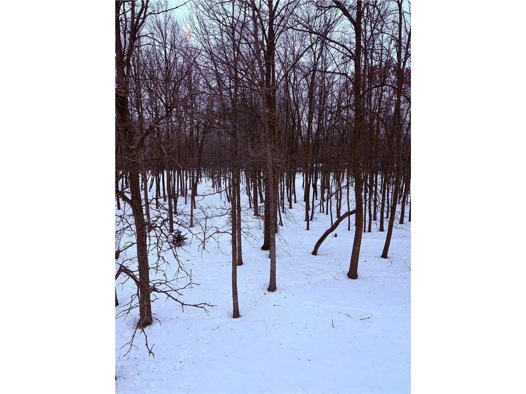 610 Linden Avenue Rice Lake WI 54868 7019356 image6