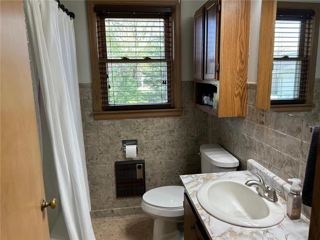 610 Lyon Avenue N Canby MN 56220 7074447 image11