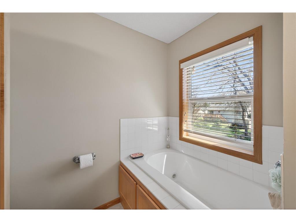 6102 146th Avenue NW Ramsey MN 55303 7079170 image27