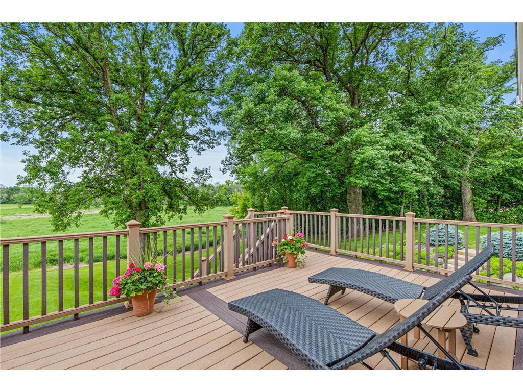 6105 Wood Hill Lane Independence MN 55359 7068542 image53