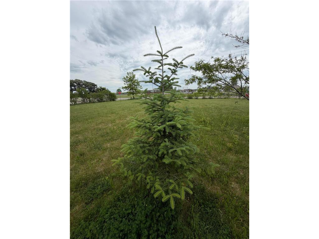611 11th Avenue NE Kasson MN 55944 7087063 image3