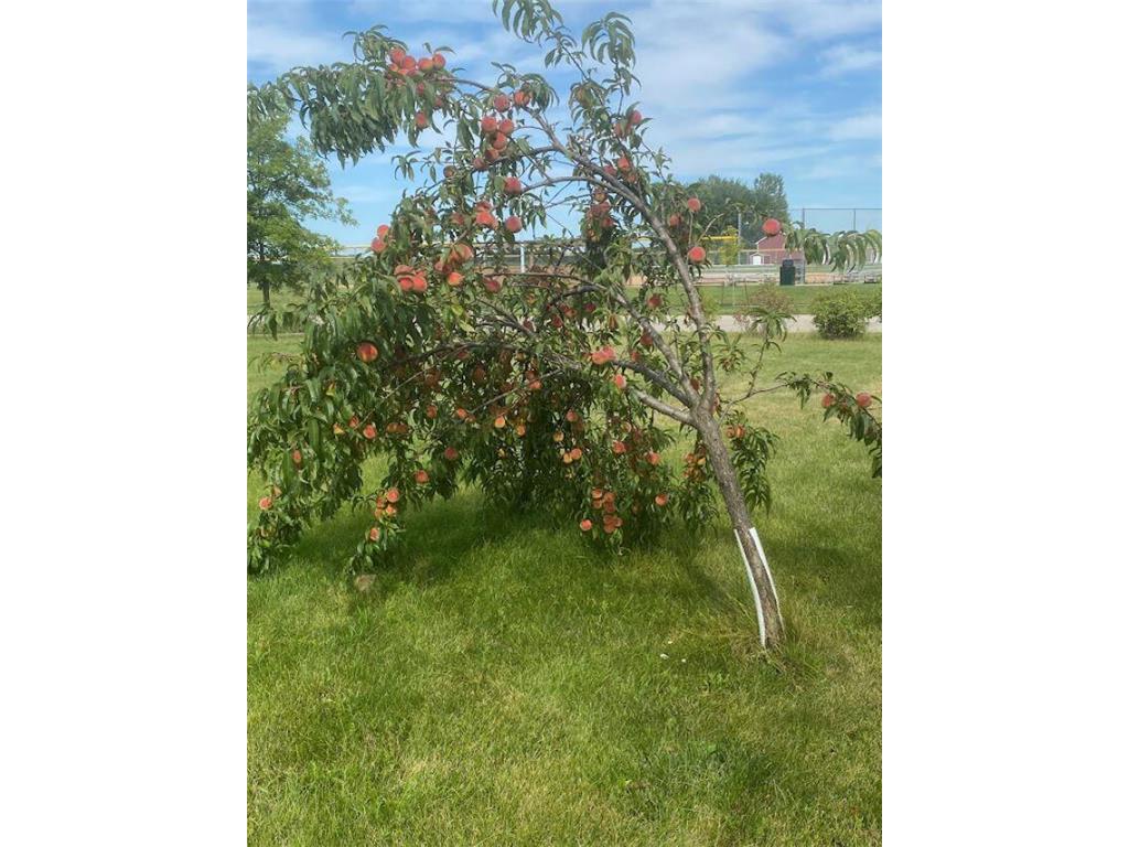 611 11th Avenue NE Kasson MN 55944 7087063 image6