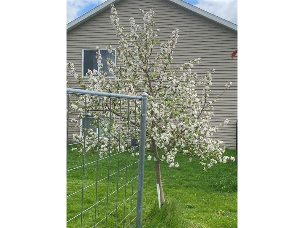 611 11th Avenue NE Kasson MN 55944 7087063 image8