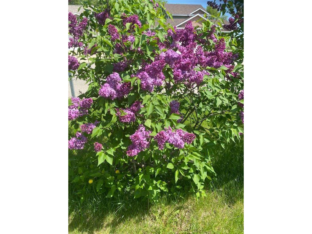 611 11th Avenue NE Kasson MN 55944 7087063 image9