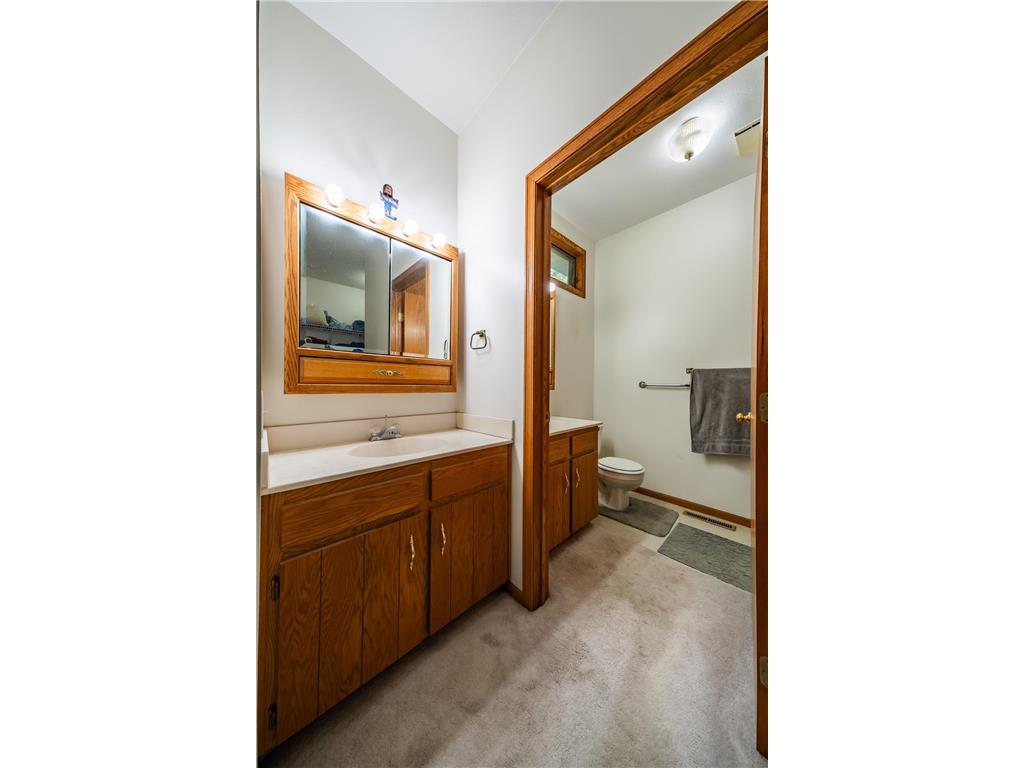 611 3rd Avenue SW Long Prairie MN 56347 7110354 image23
