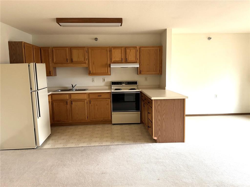 611 Main Street S #201 Renville MN 56284 6824713 image2