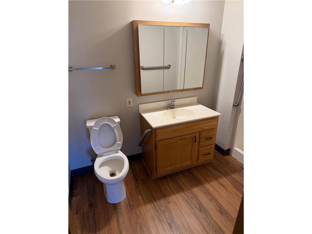 611 Main Street S #205 Renville MN 56284 6824731 image17