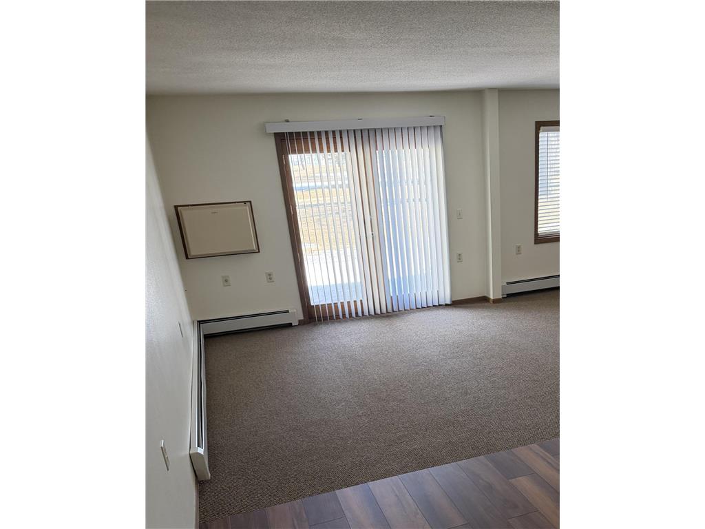 611 Main Street S #208 Renville MN 56284 7054544 image5