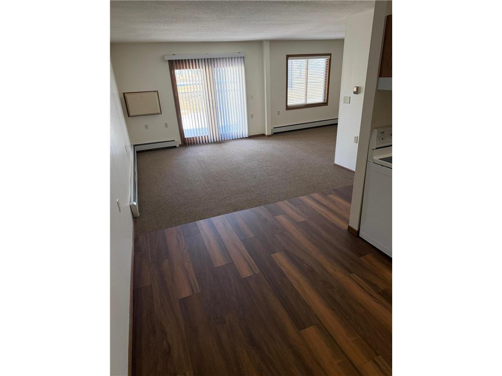 611 Main Street S #208 Renville MN 56284 7054544 image6