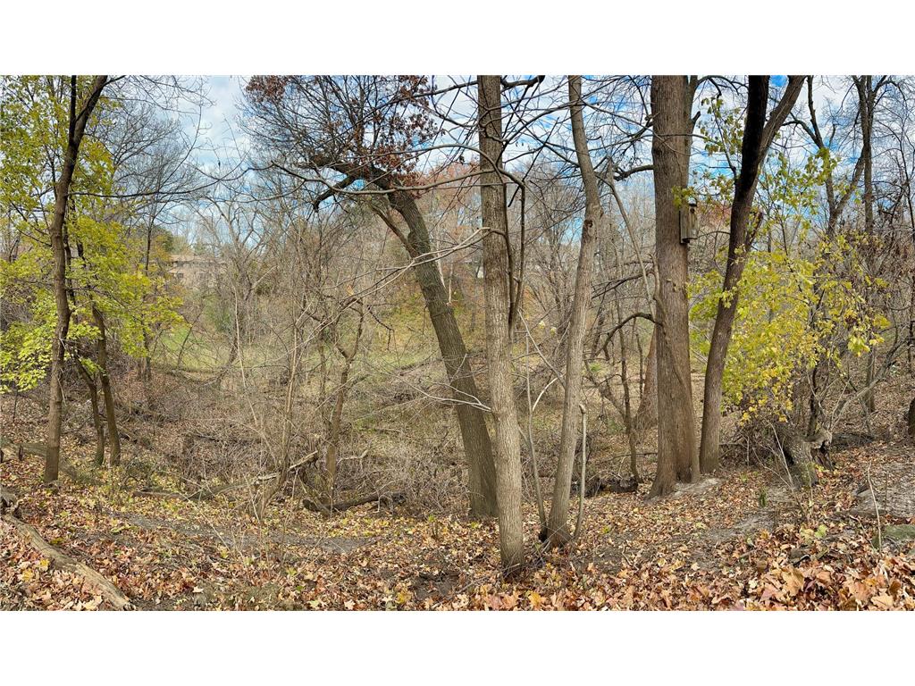 6116 Ridge Drive Woodbury MN 55125 6819870 image9