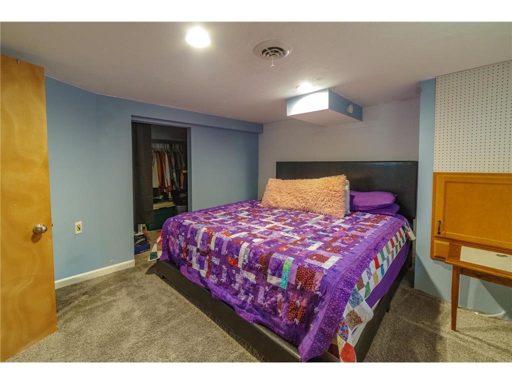 612 W Brooks Street Arlington MN 55307 7061399 image22