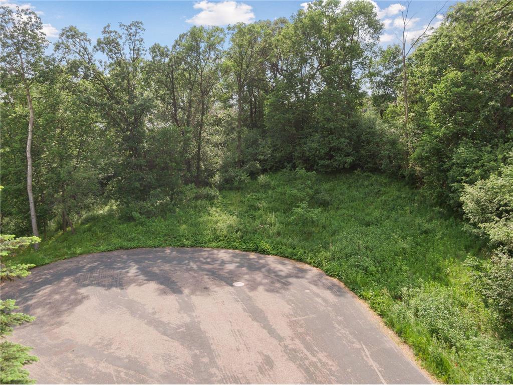 6128 Blackberry Trail Inver Grove Heights MN 55076 6219180 image1
