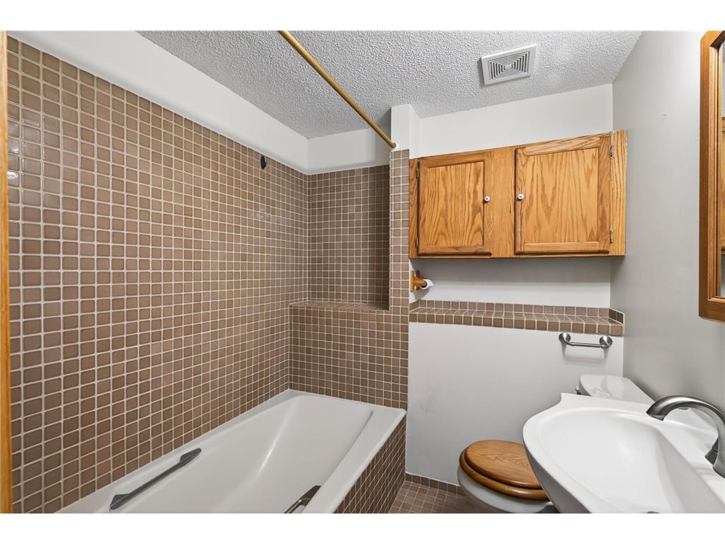 6129 Eagle Lake Drive Maple Grove MN 55369 - Eagle 7069341 image31