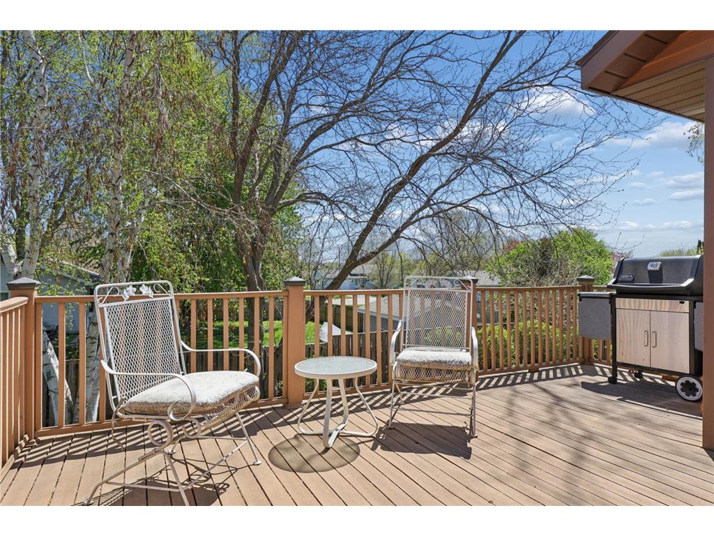613 24th Street SE Willmar MN 56201 7045683 image24