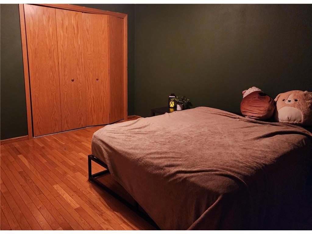 613 E Walnut Avenue Olivia MN 56277 7074915 image10