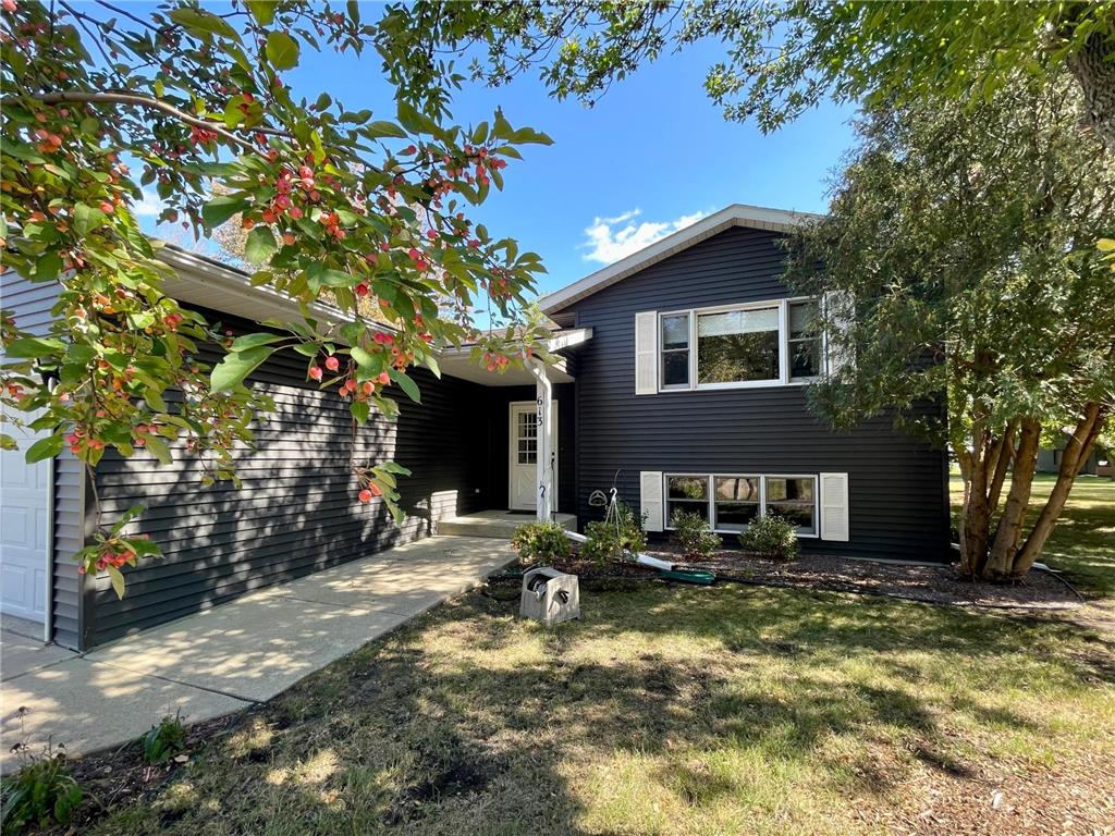 613 N Swain Street Redwood Falls MN 56283 6392855 image1