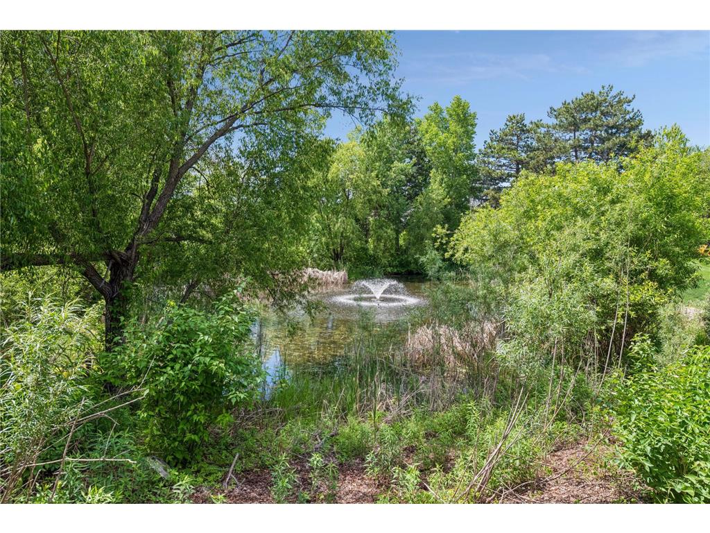 6137 Niagara Lane N Plymouth MN 55446 7052320 image50