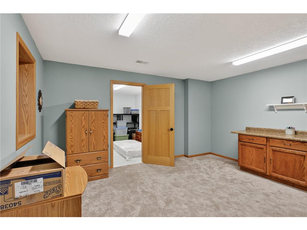 614 Dewberry Lane Alexandria MN 56308 7081465 image48