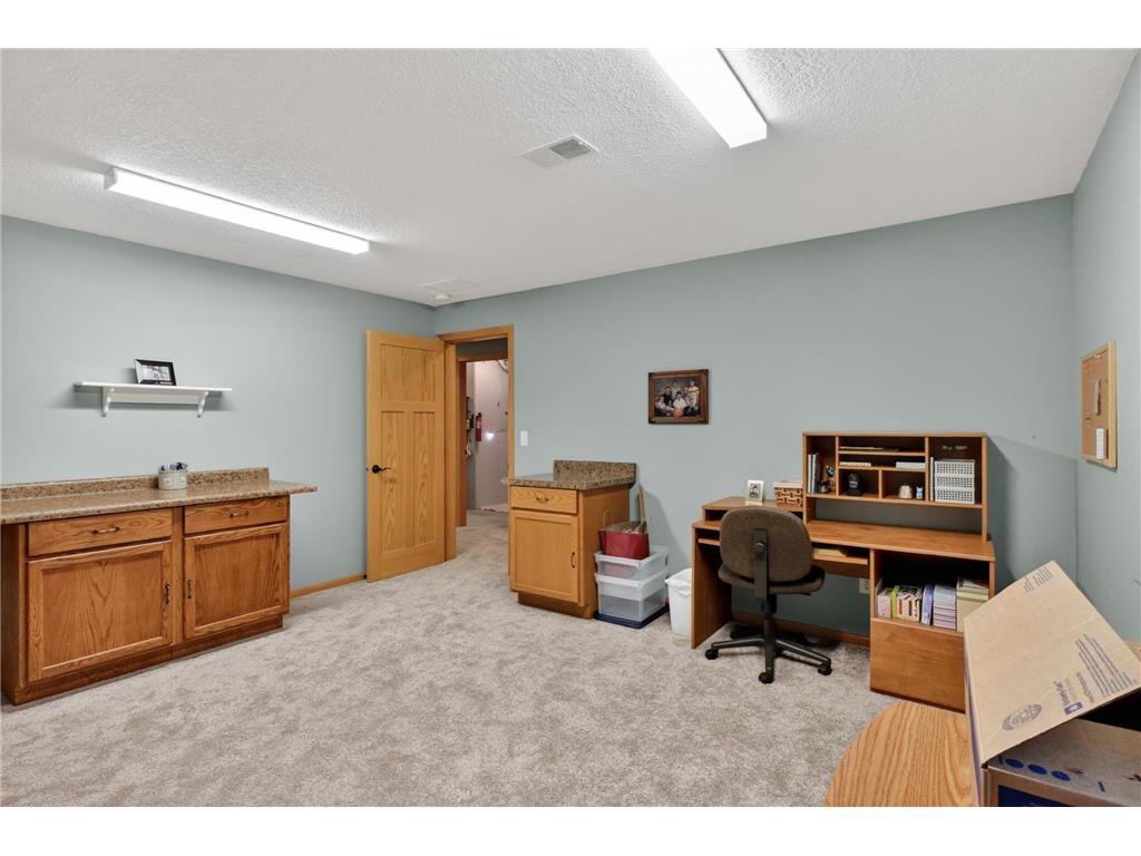 614 Dewberry Lane Alexandria MN 56308 7081465 image49