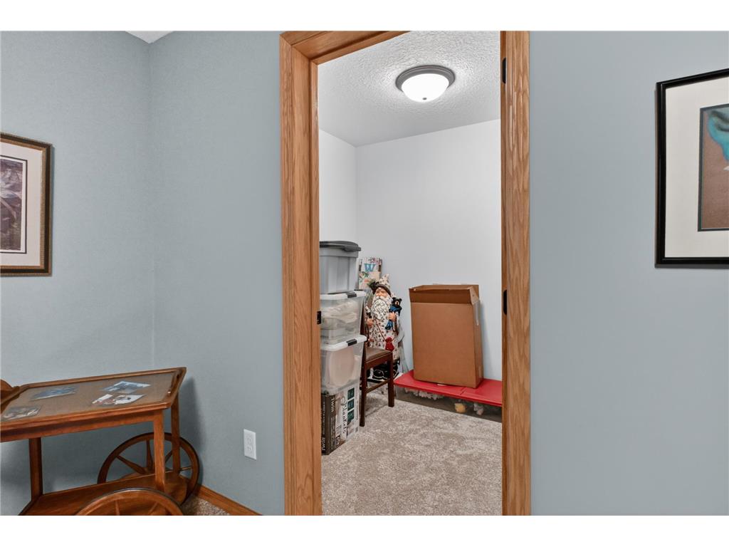 614 Dewberry Lane Alexandria MN 56308 7081465 image52