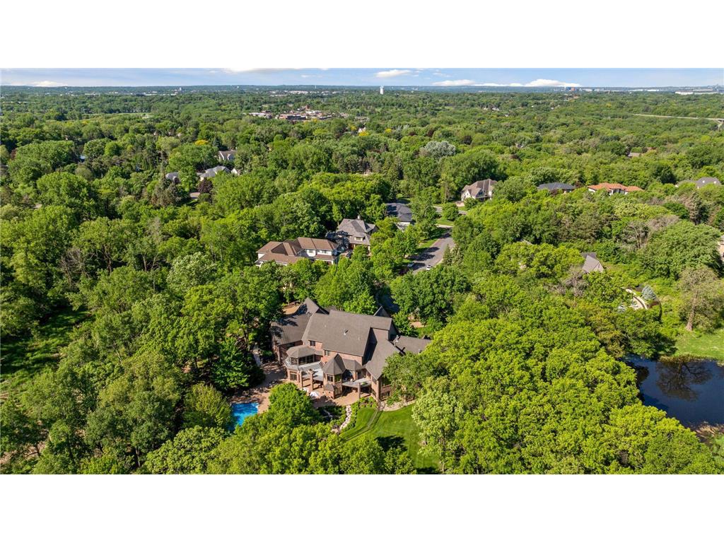 614 Hidden Creek Trail Mendota Heights MN 55118 7037972 image69