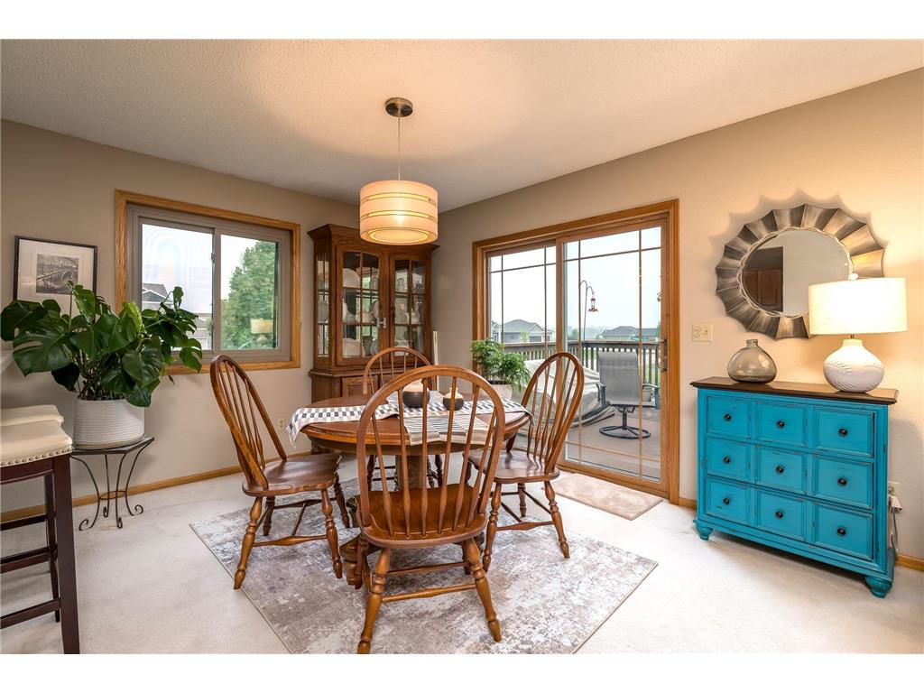 614 W Allyn Street Janesville MN 56048 7045118 image7