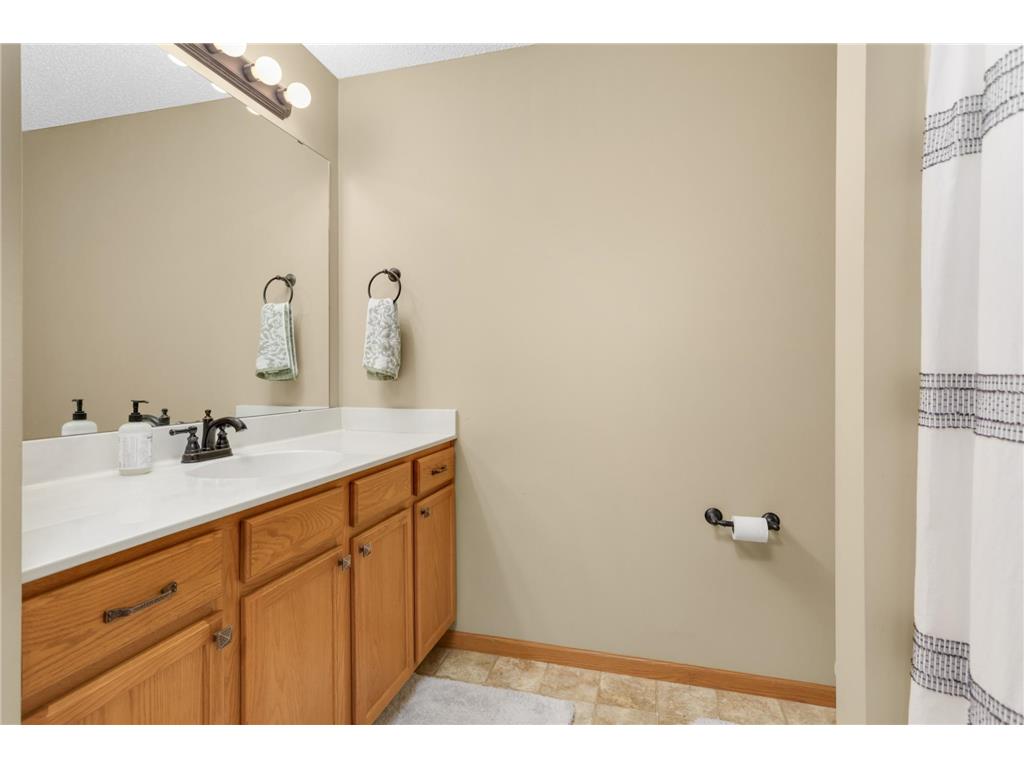 615 Dillon Avenue N Montrose MN 55363 7037516 image15