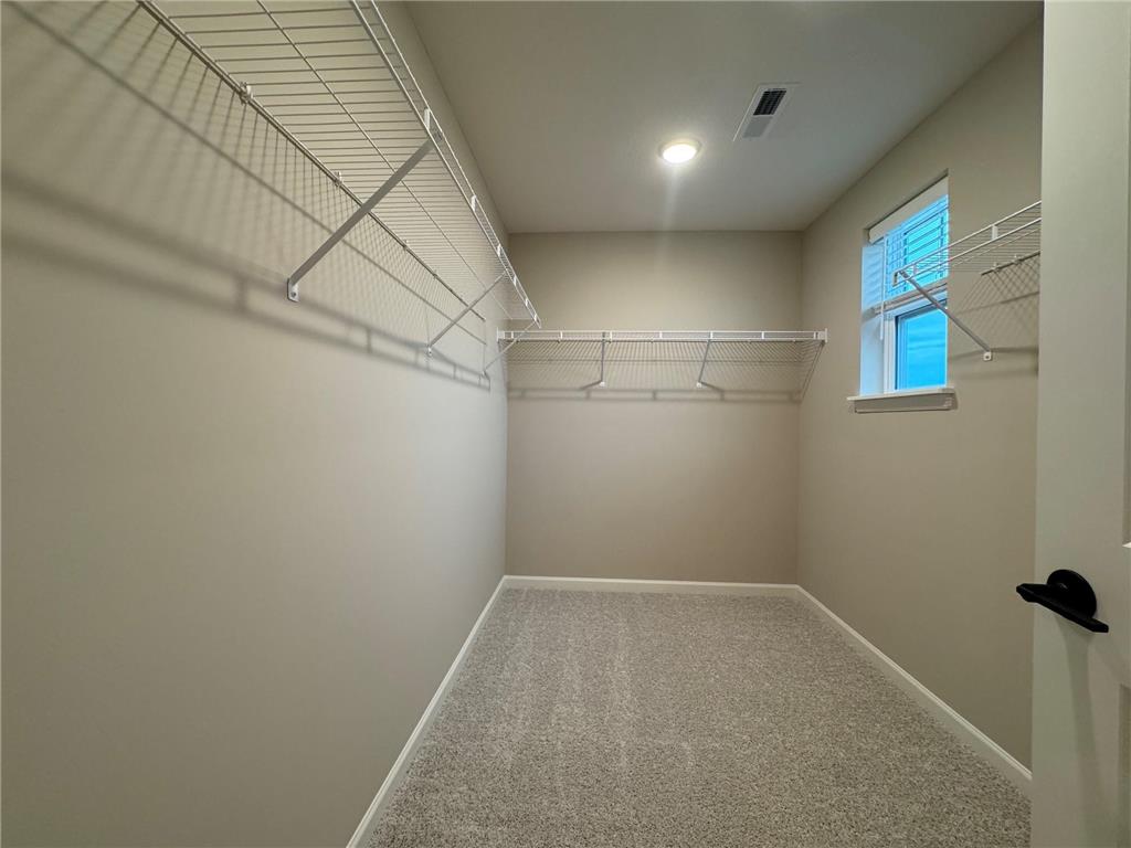 6153 Goodview Avenue S Cottage Grove MN 55016 7094194 image13