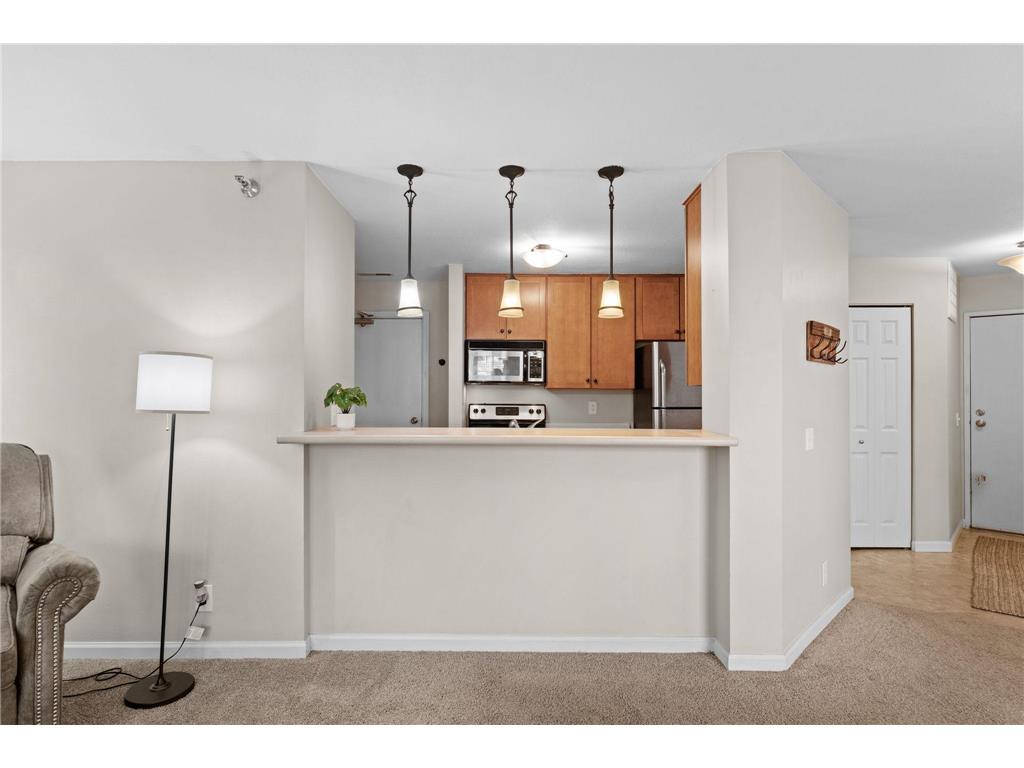 6157 Chasewood Parkway #102 Minnetonka MN 55343 7068681 image11