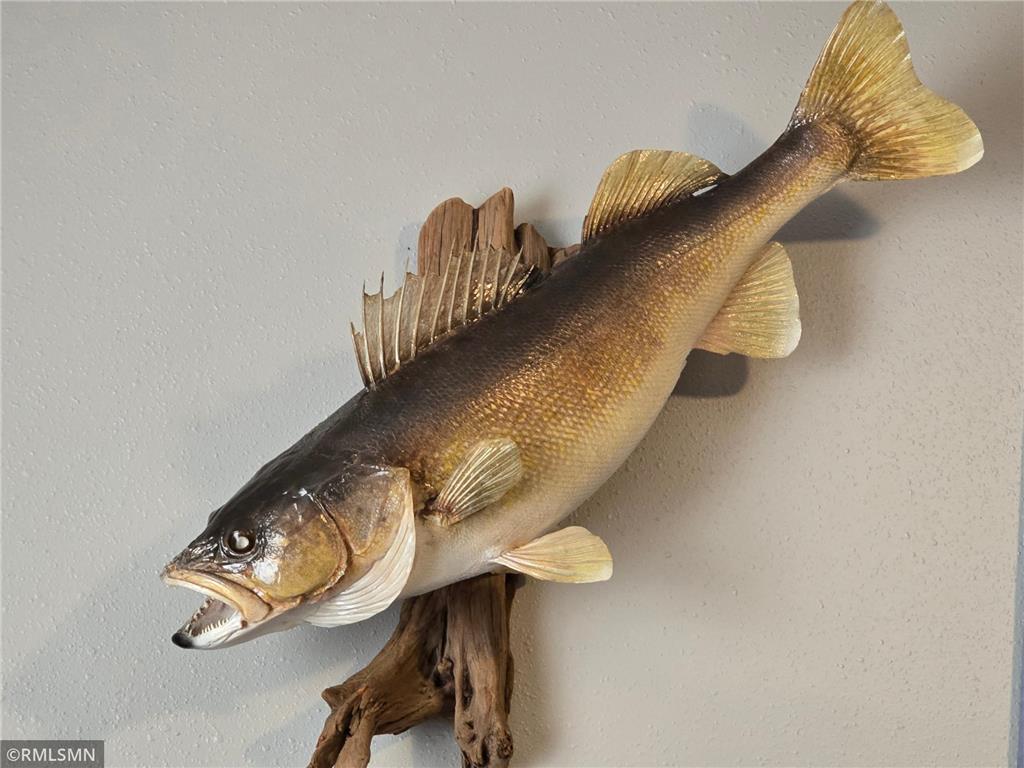 6157 Quinn Avenue NW South Haven MN 55382 - West Lake Sylvia 6764291 image17