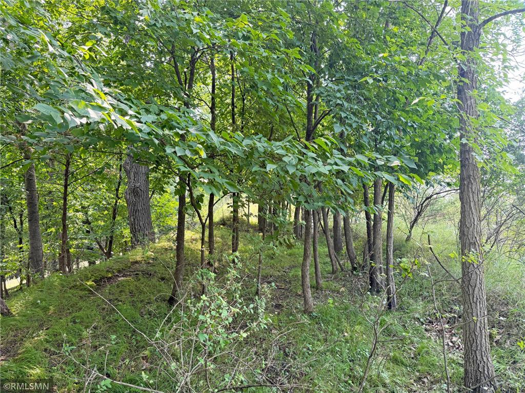 6157 Quinn Avenue NW South Haven MN 55382 - West Lake Sylvia 6764291 image44