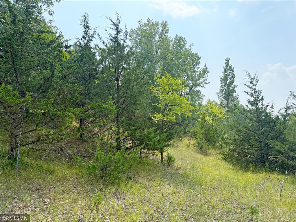 6157 Quinn Avenue NW South Haven MN 55382 - West Lake Sylvia 6764291 image45