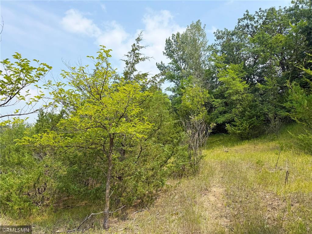 6157 Quinn Avenue NW South Haven MN 55382 - West Lake Sylvia 6764291 image46