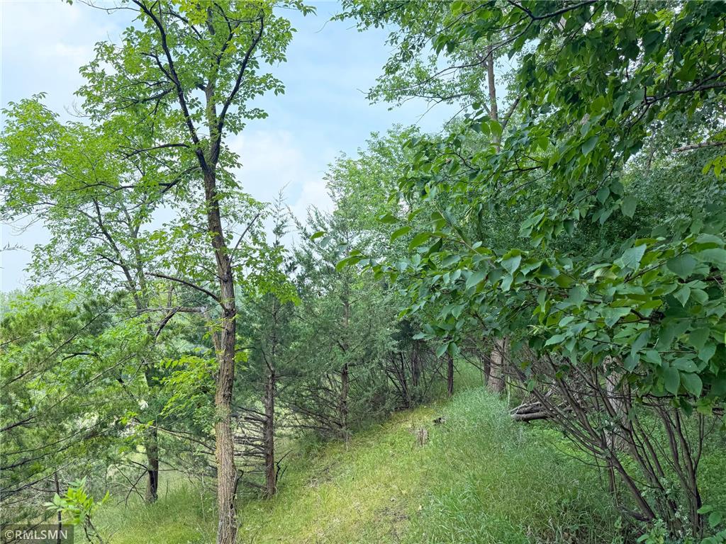 6157 Quinn Avenue NW South Haven MN 55382 - West Lake Sylvia 6764291 image47