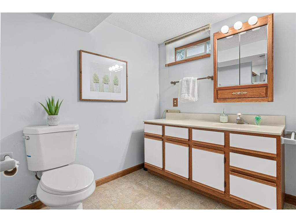 616 Hattie Lane Woodbury MN 55125 6800297 image26