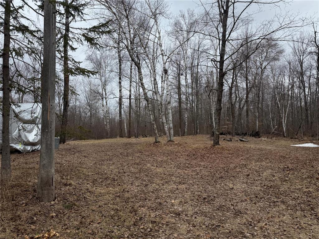 61613 Park Hills Road Park Twp MN 55712 7045902 image13